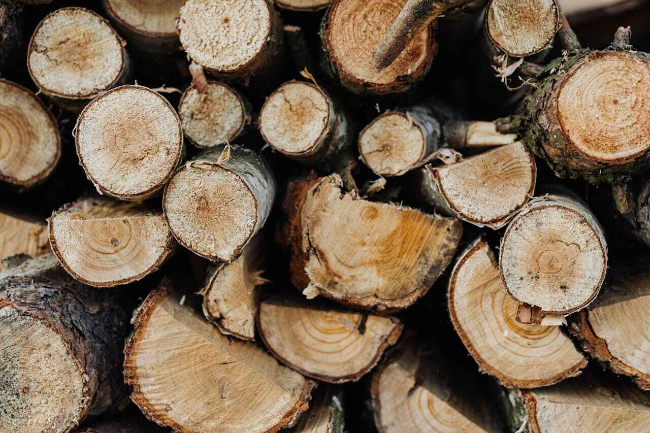 Tree Branch Trimming in Farr West, UT